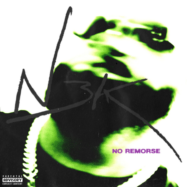 No Remorse
