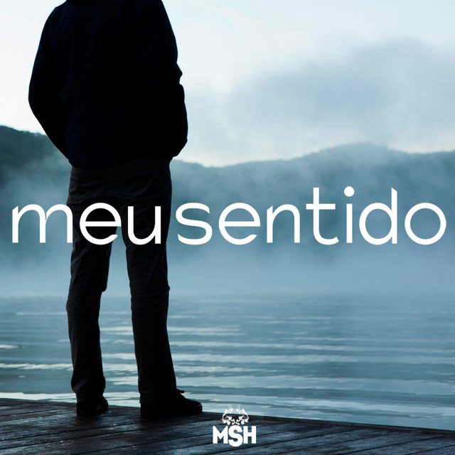 Meu Sentido cover
