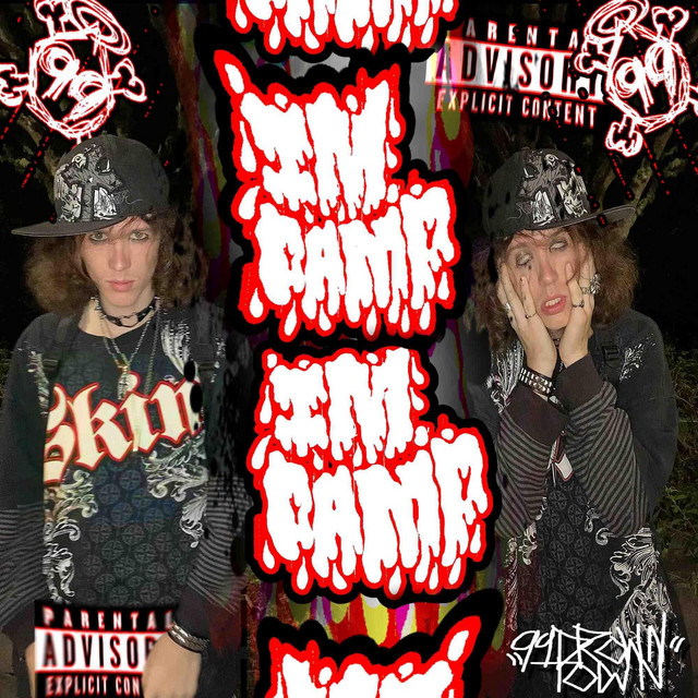 IM DAMP cover art