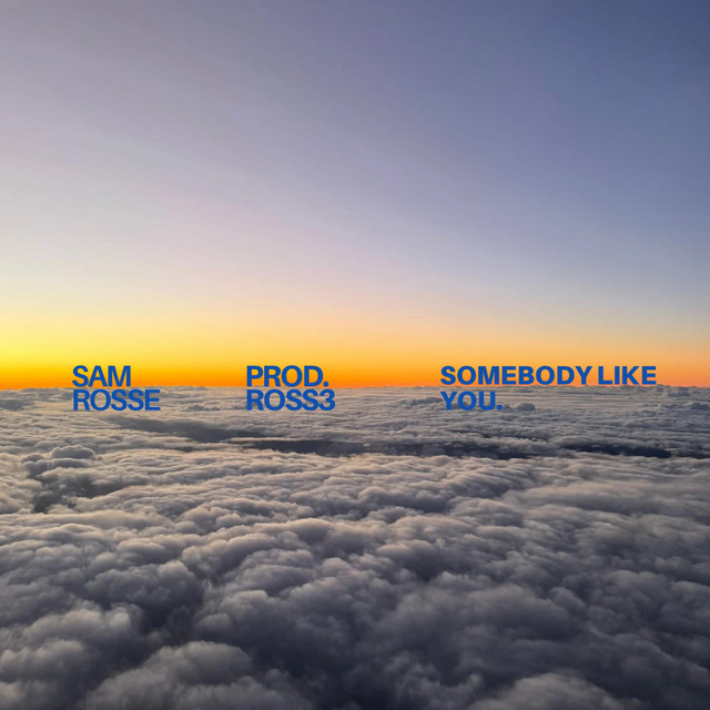 Somebody Like You
