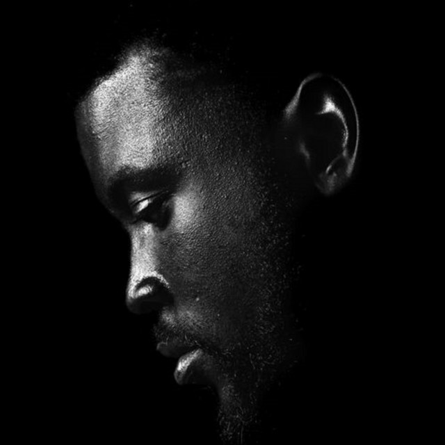 Dems 2 cover art