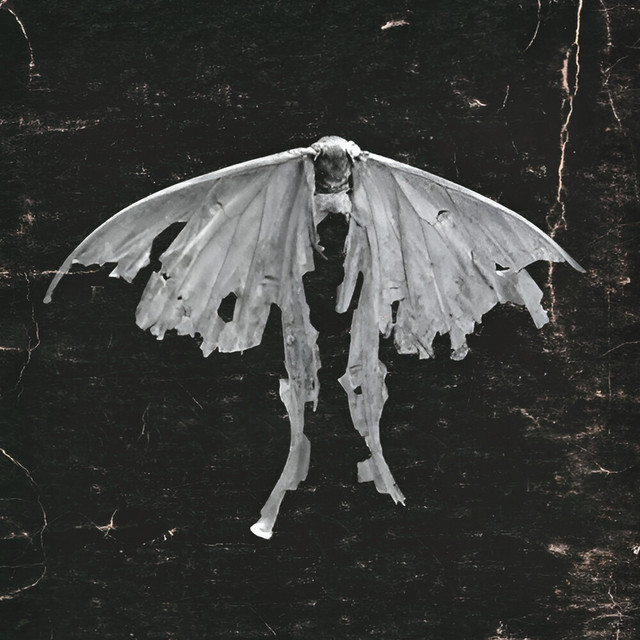 Mariposa cover art