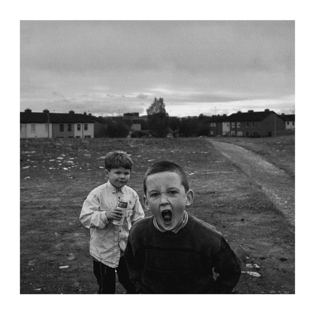 THE GREEN BOX THEORY cover art