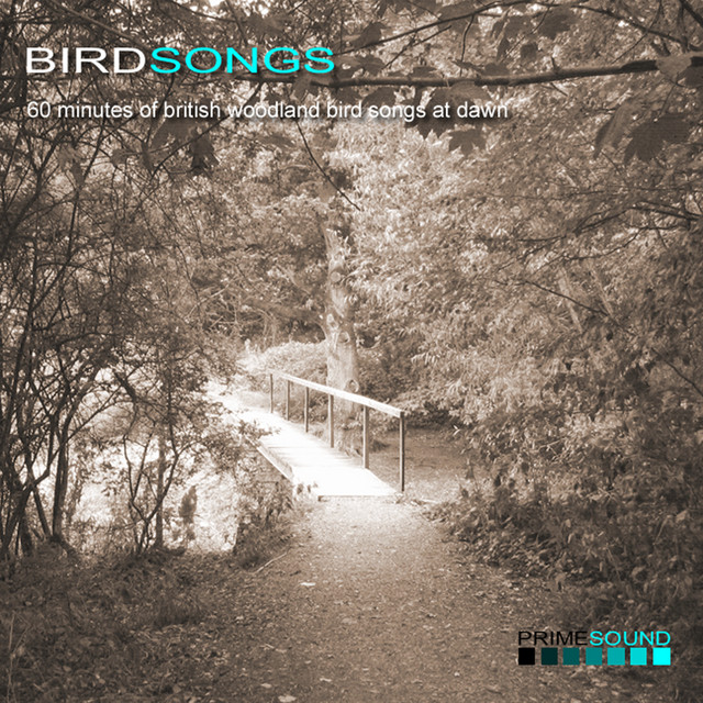 Bird Songs cover art