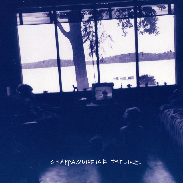 Chappaquiddick Skyline Photo