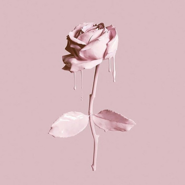 Levi cover art