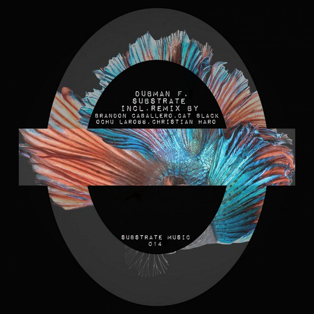Substrate - Cat Black Remix cover art