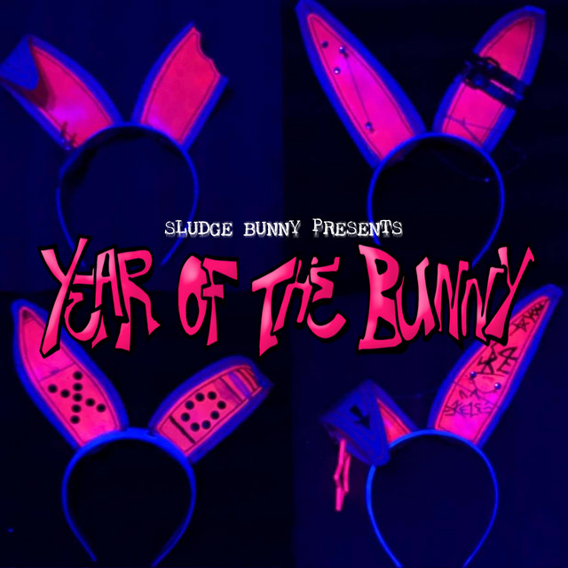 Year of the Bunny cover art
