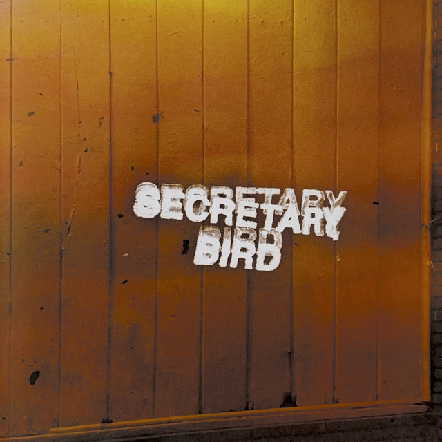 Secretary Bird