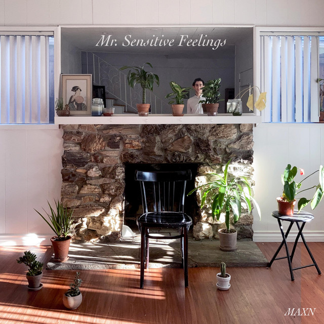 Mr. Sensitive Feelings cover art
