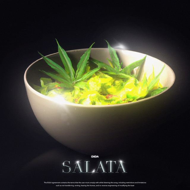 SALATA cover art