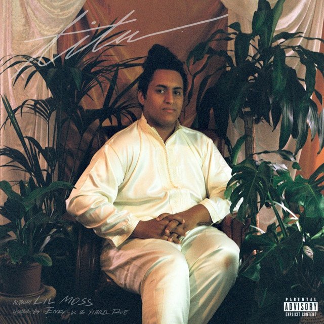 Habibita cover art