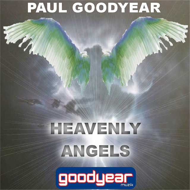 Heavenly Angels (Paul Goodyear Anaconda Mix) cover art