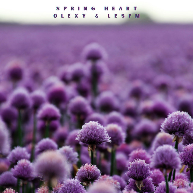 Обкладинка: Spring Heart — Lesfm