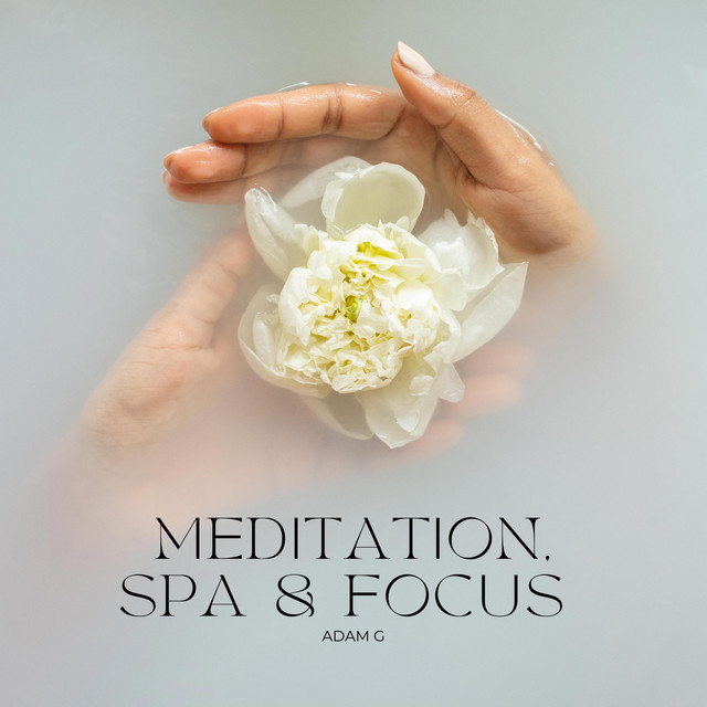 Meditation, Spa & Focus Music: Relaxing Sounds for Mindfulness, Yoga, and Stress Relief cover art