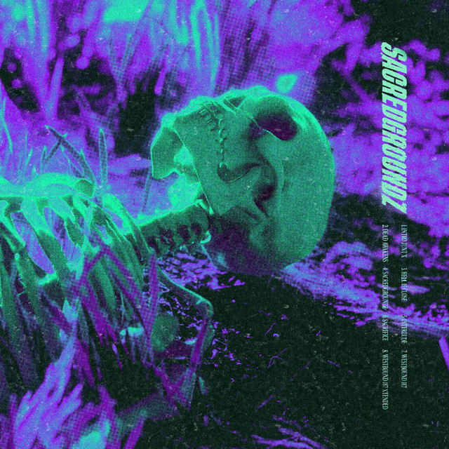 SACREDGROUNDZ cover art