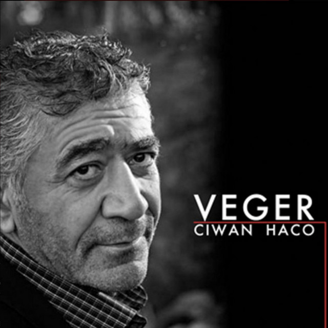 Veger cover art
