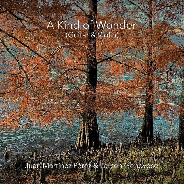 A Kind of Wonder (Guitar & Violin)