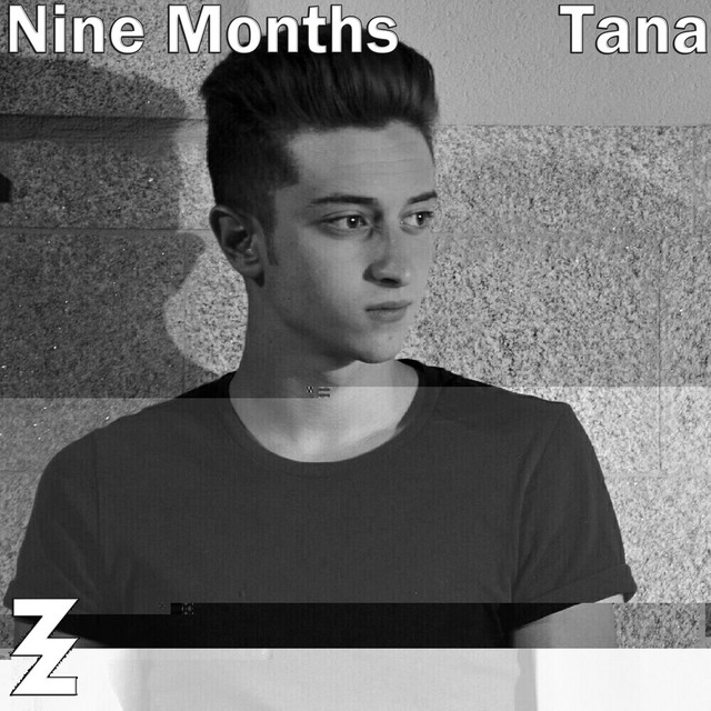 Nine Months - Single by Dj Producer TANA | Spotify