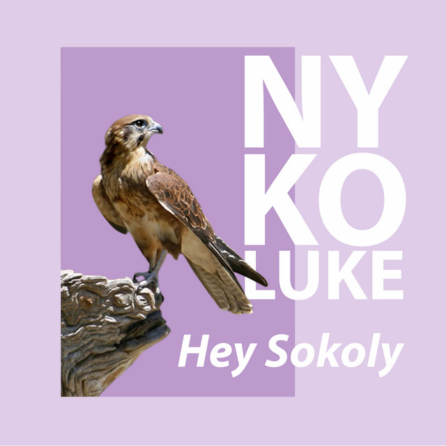 Обкладинка: HEY SOKOLY - Original Mix — Nykoluke