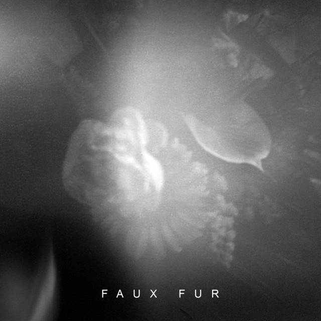 Faux Fur cover art