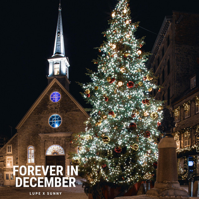 Forever In December cover art
