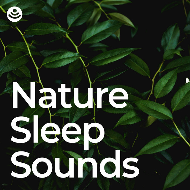 Nature Sleep Sounds