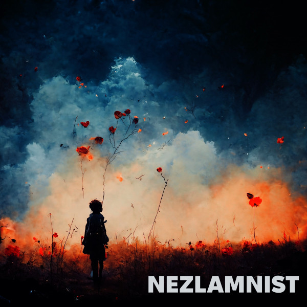Обкладинка Vlad Plotnikov — Nezlamnist