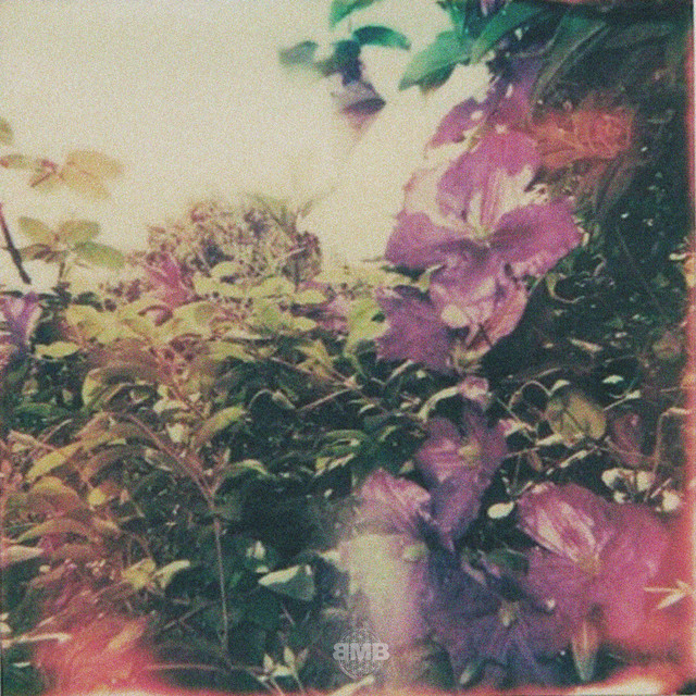 stop and smell the flowers sometime cover art