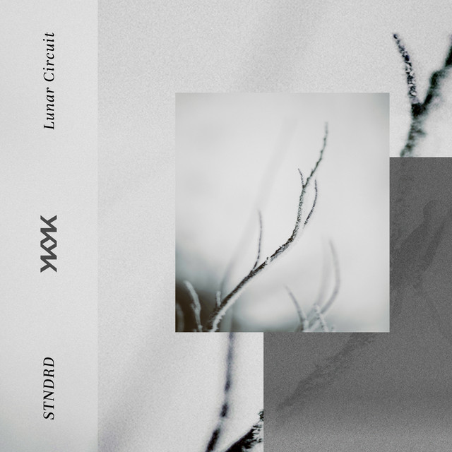 Silent Ray cover art