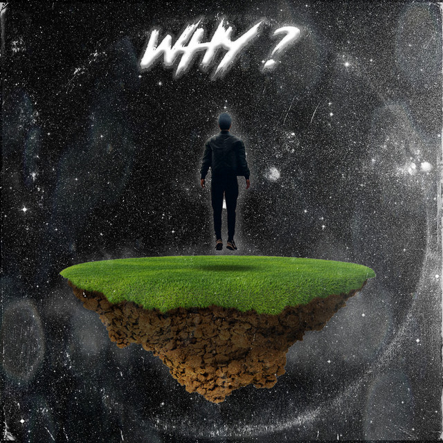 WHY?