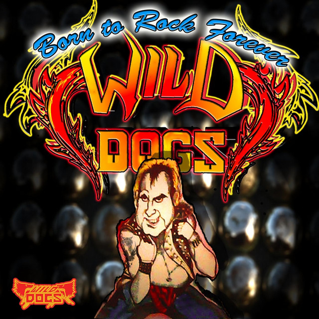 Born to Rock Forever cover art