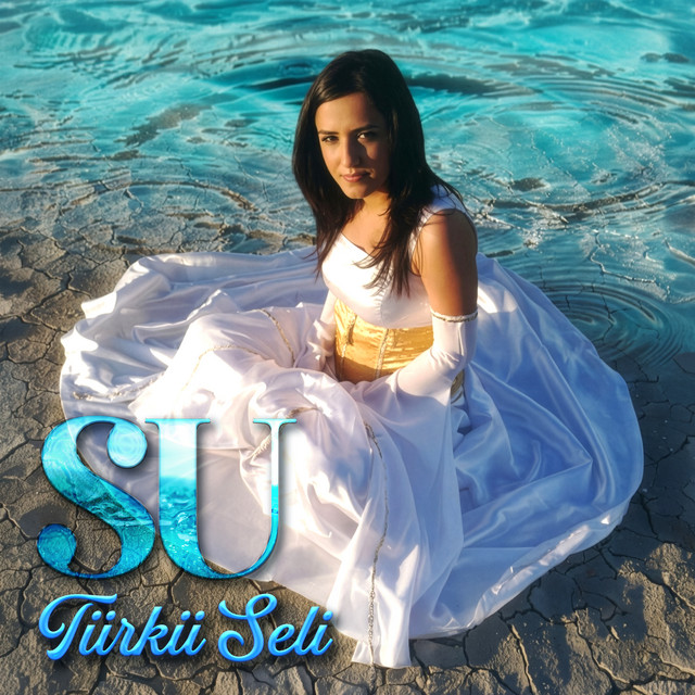 Nerede Gönül cover art