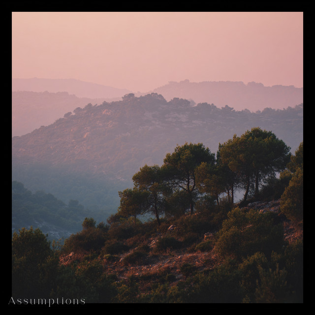 Cover of Assumptions by Floyd Nova
