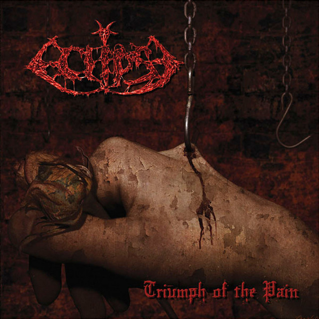 Triumph of the Pain cover art