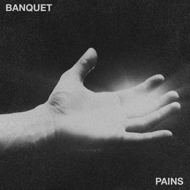 Pains cover art