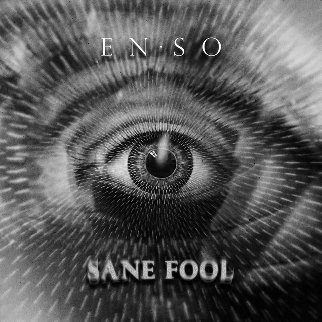 Sane Fool album image