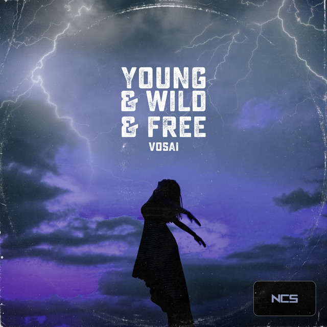 Young & Wild & Free cover