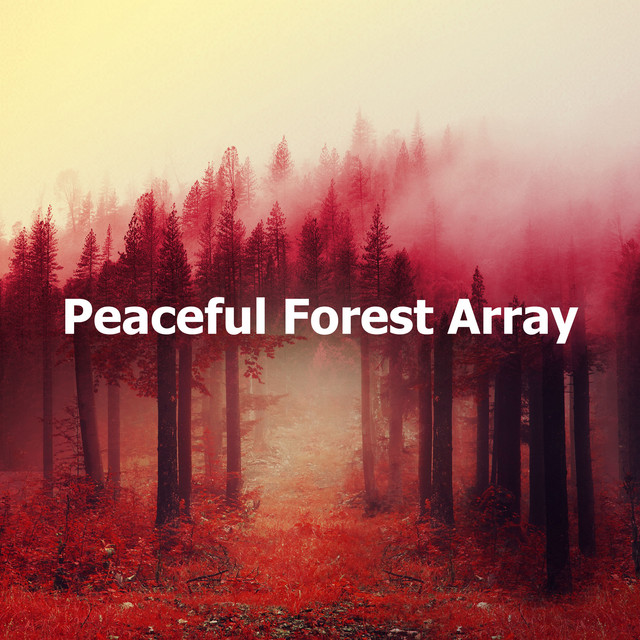 Peaceful Forest Array - Album by Natural Forest Sounds | Spotify