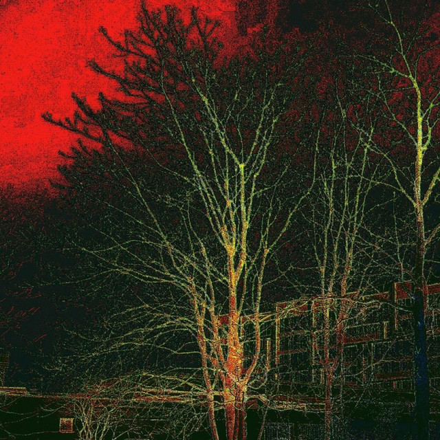 backyard cover art