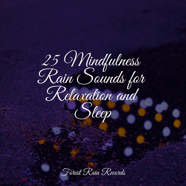25 Mindfulness Rain Sounds for Relaxation and Sleep - Album by Spa ...