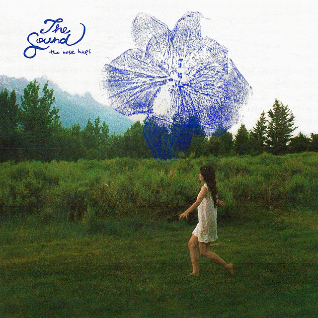 The Sound cover art