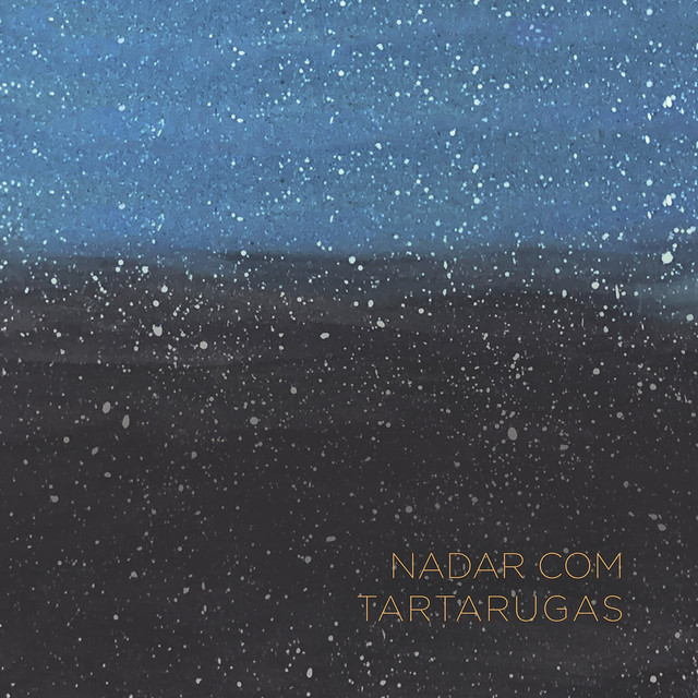 Nadar com tartarugas