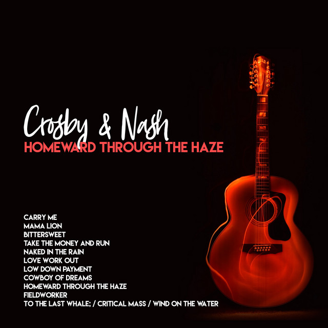 Homeward Through The Haze cover art