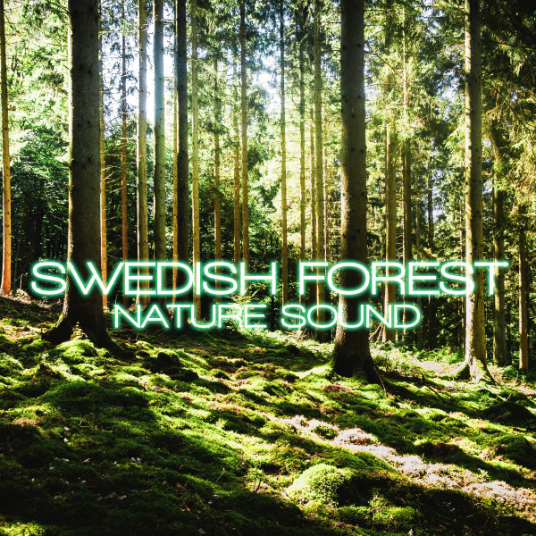 Swedish Forest Nature Sound