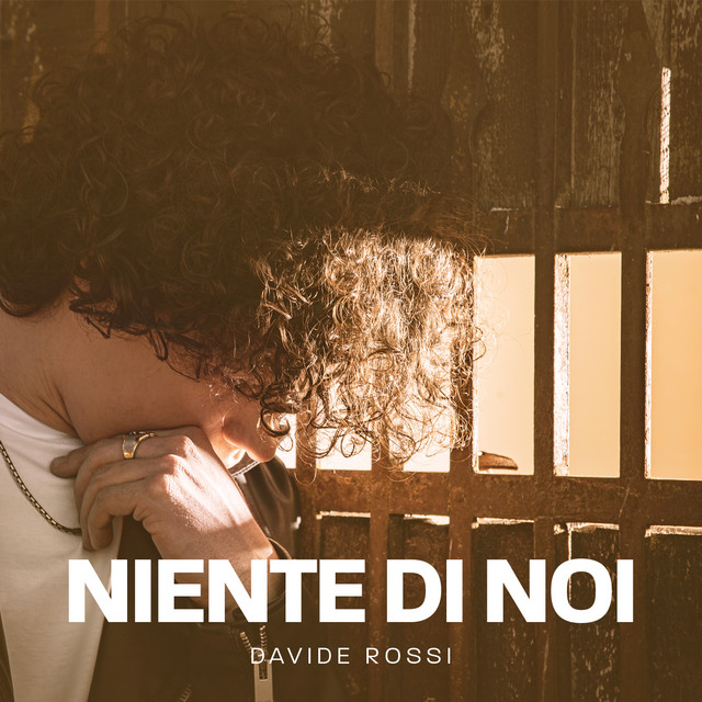 Niente di noi cover