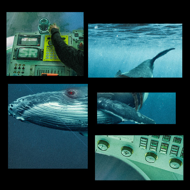 Oceanic Warfare cover art