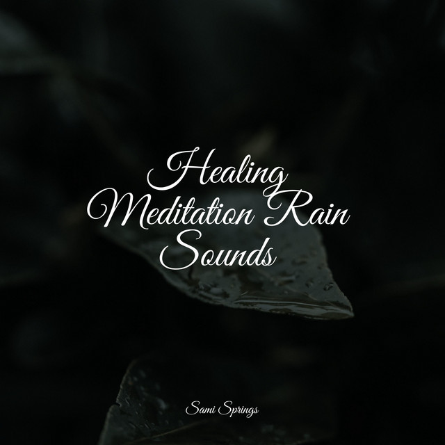 50 Calm & Summer Rain Tracks - Album by Deep Sleep Relaxation | Spotify
