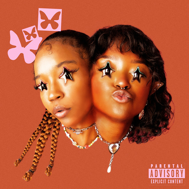 Bitch Imma Star cover art