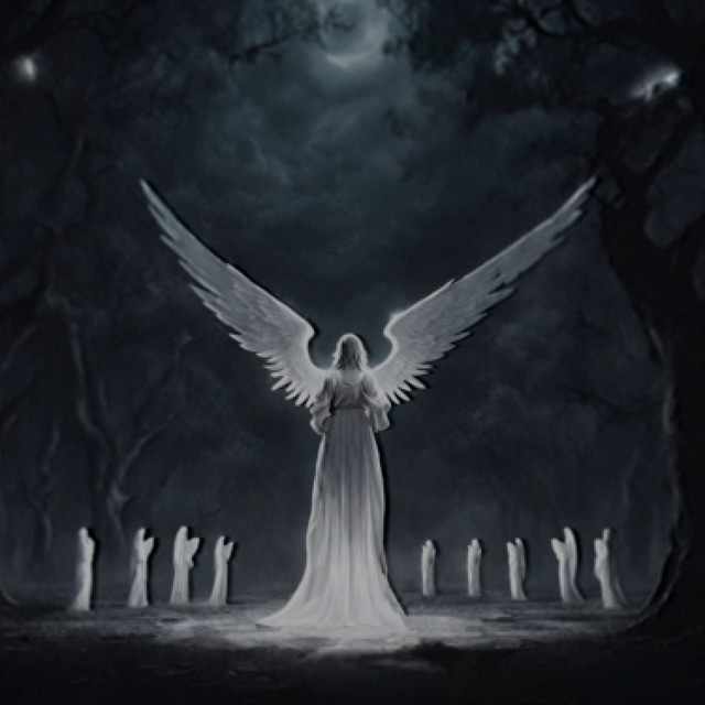 Sincericidio cover art